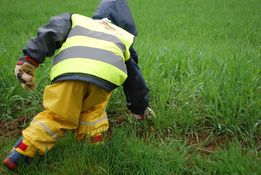 Fleissige SammlerInnen beim Frühjahrsputz