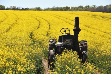 Traktor- und Oldtimerclub